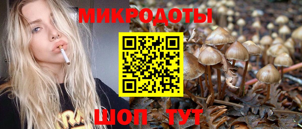 купить  сайты  Вход с VPN  Псилоцибиновые грибы прущие грибы  Печора  Псилоцибиновые грибы Psilocybine cubensis 