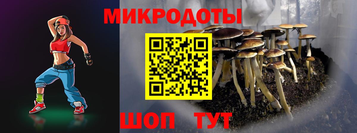 Псилоцибиновые грибы прущие грибы Печора